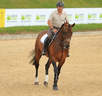 Bolesworth Elite Auction Raises the Roof Bolesworth Elite Auction Raises the Roof